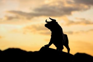 Bull Markets Die on Euphoria﻿ | BullionBuzz