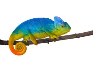 Gold Is a Chameleon | BullionBuzz