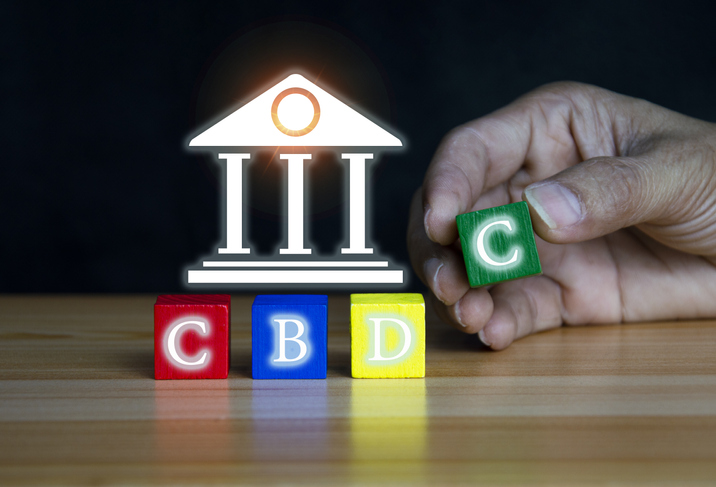 CBDCs Are Digital Currencies Issued By Central Banks. Their Value Is Linked To The Issuing Countrys Official Currency
